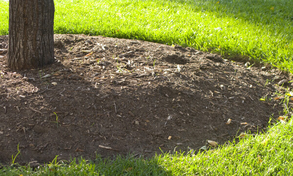 Dark Brown Mulch Protect And Enhance Your Landscape   Brown Mulch Detail 2 