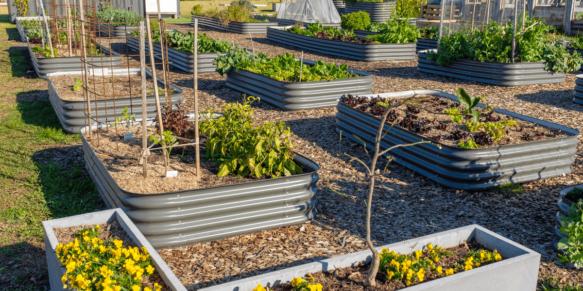 at-home garden